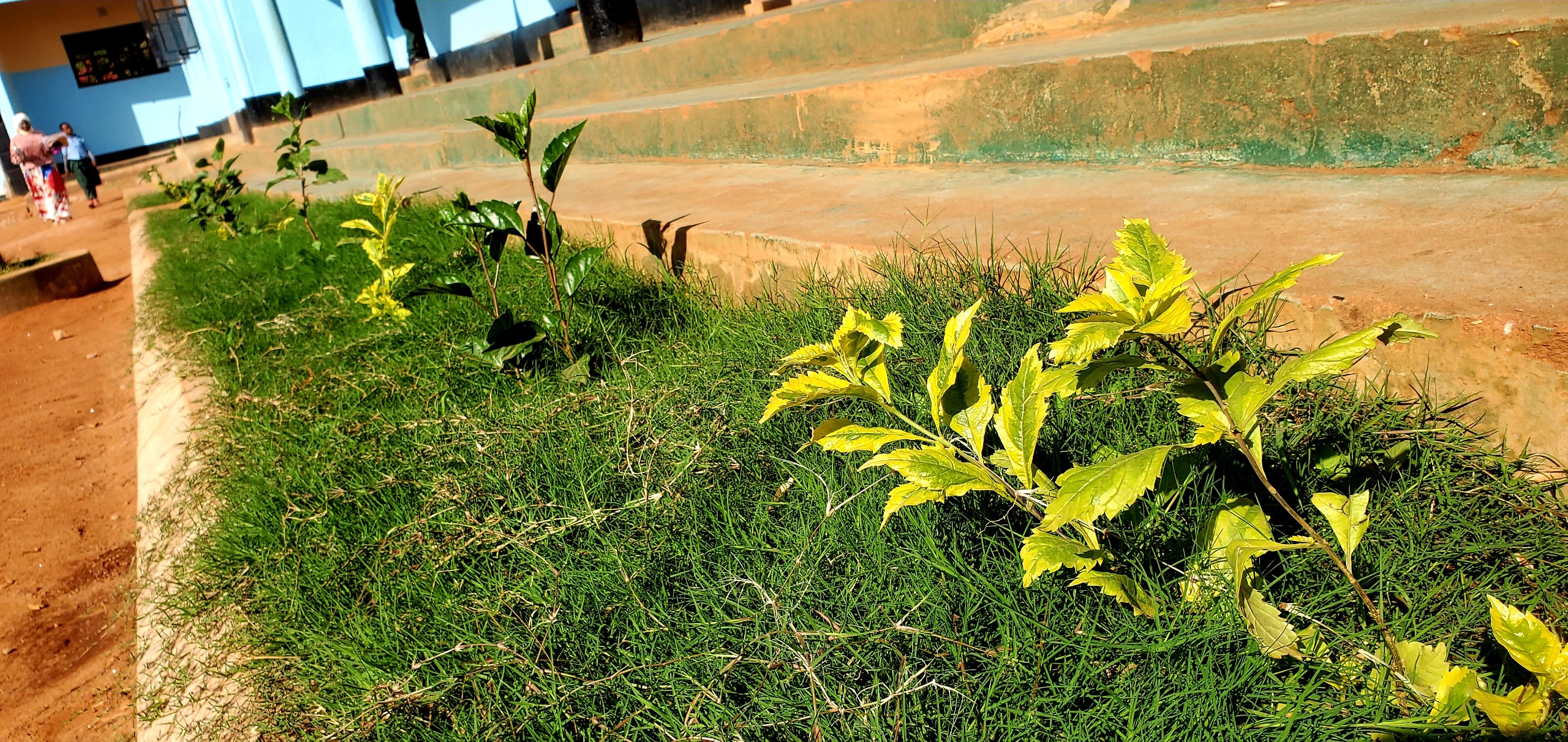 Butemine School — campus photo